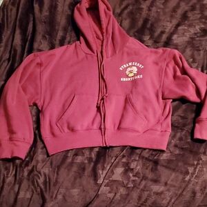 Strawberry Shortcake Pink Crop Hoodie